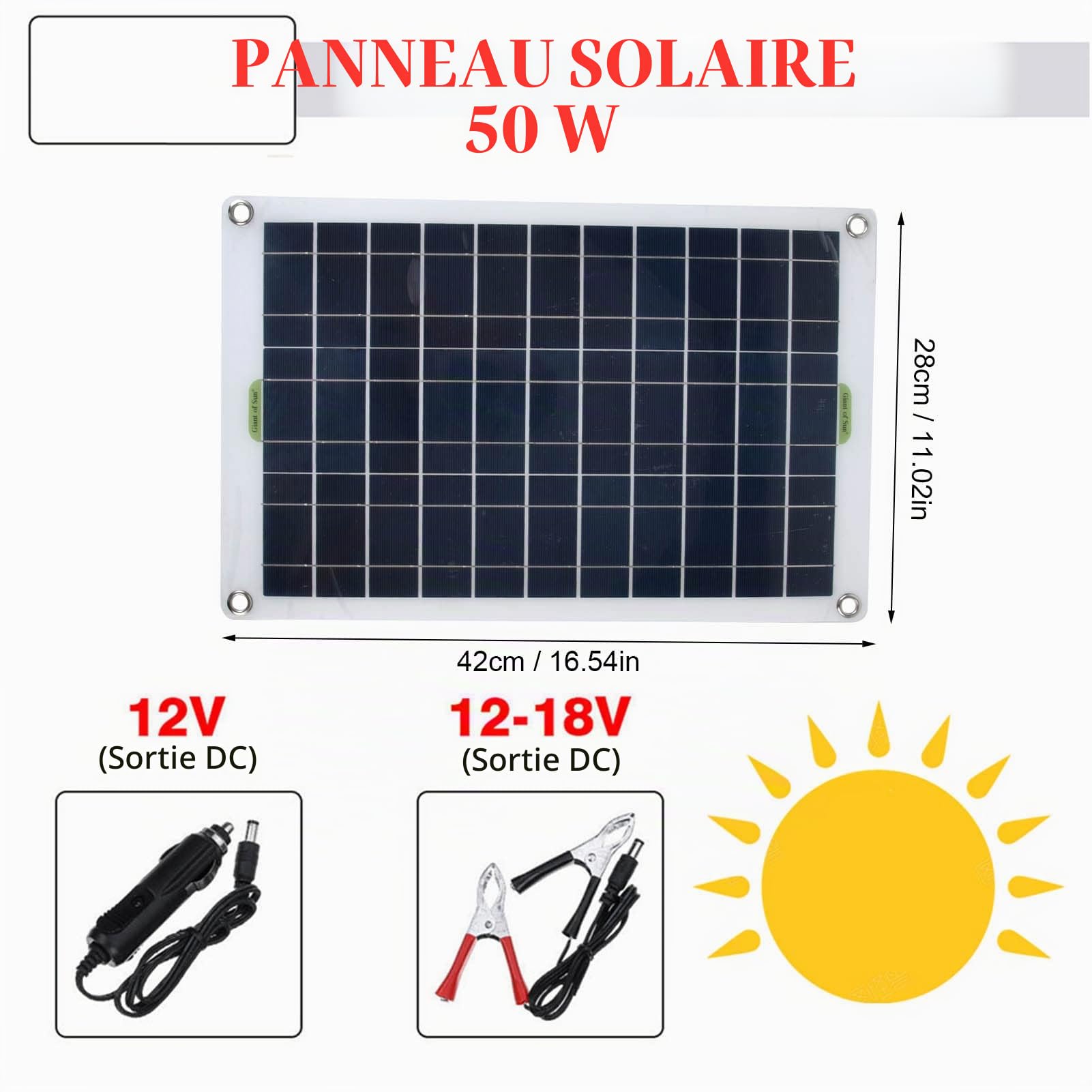 Omabeta Pumps & Irrigation Equipment pompe solaire 50 W 800 l/h 12 V pour bassin