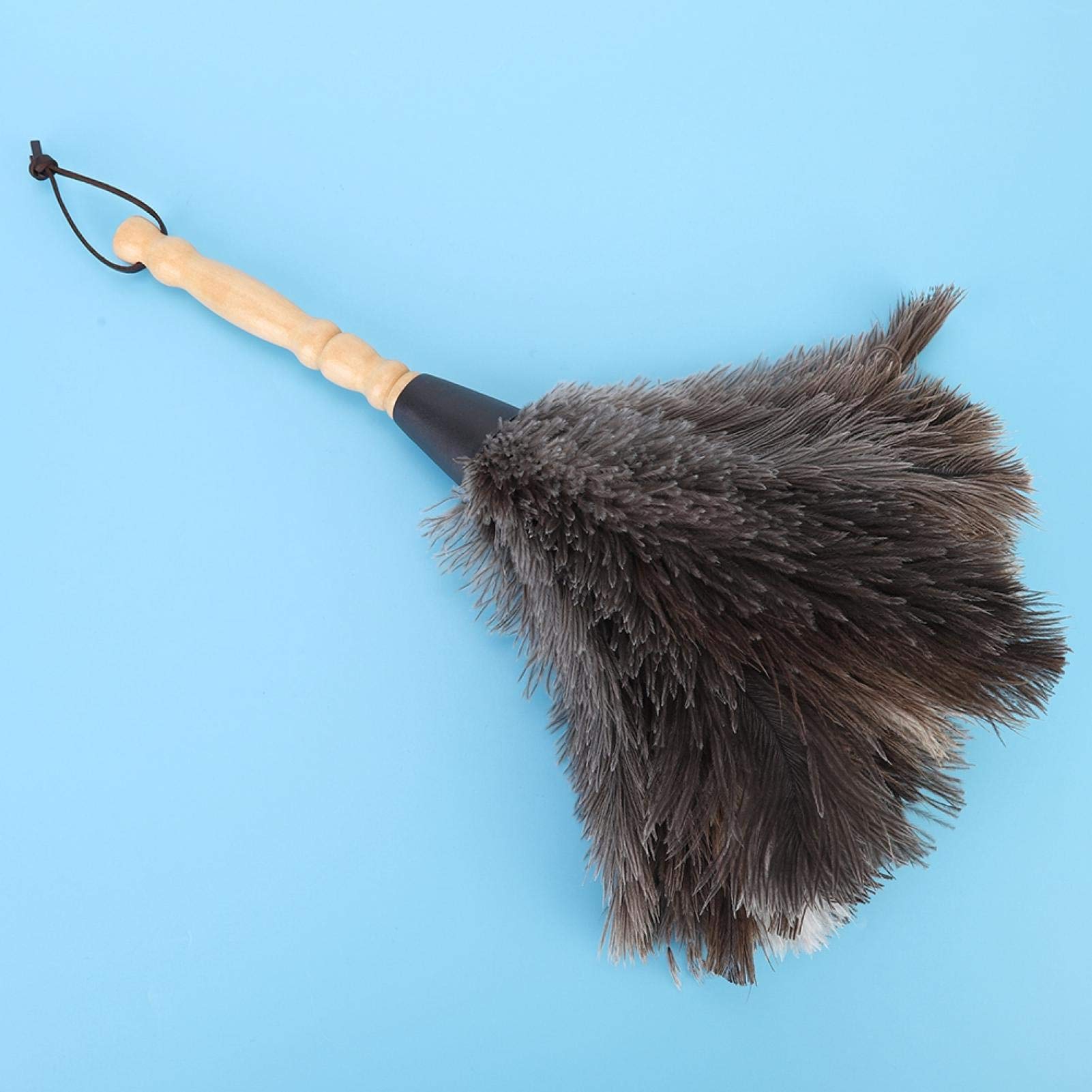 Omabeta Cleaning & Laundry Appliances plumeau en plumes d’autruche réutilisable