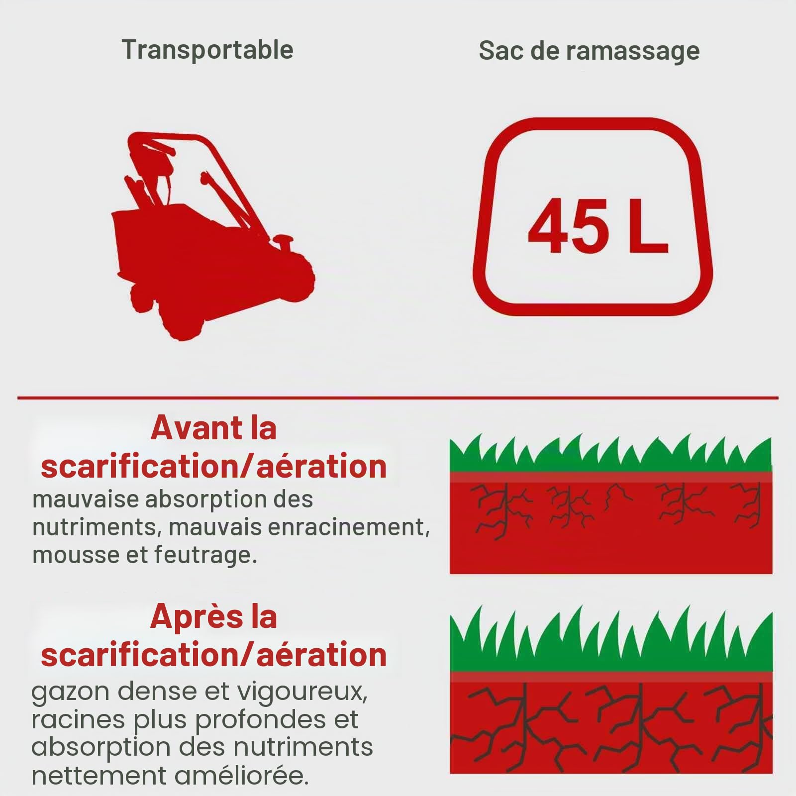 Scheppach KG Series SC50VARIO scarificateur thermique 40 cm avec huile