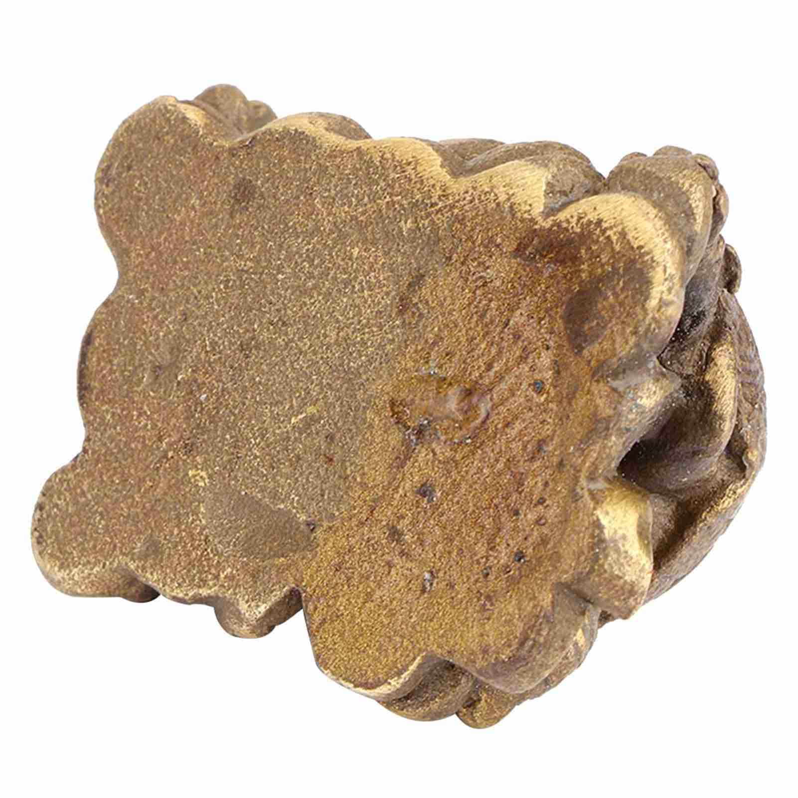 Omabeta Home Décor & Bathroom Décor Tortue Feng Shui en laiton 5 cm