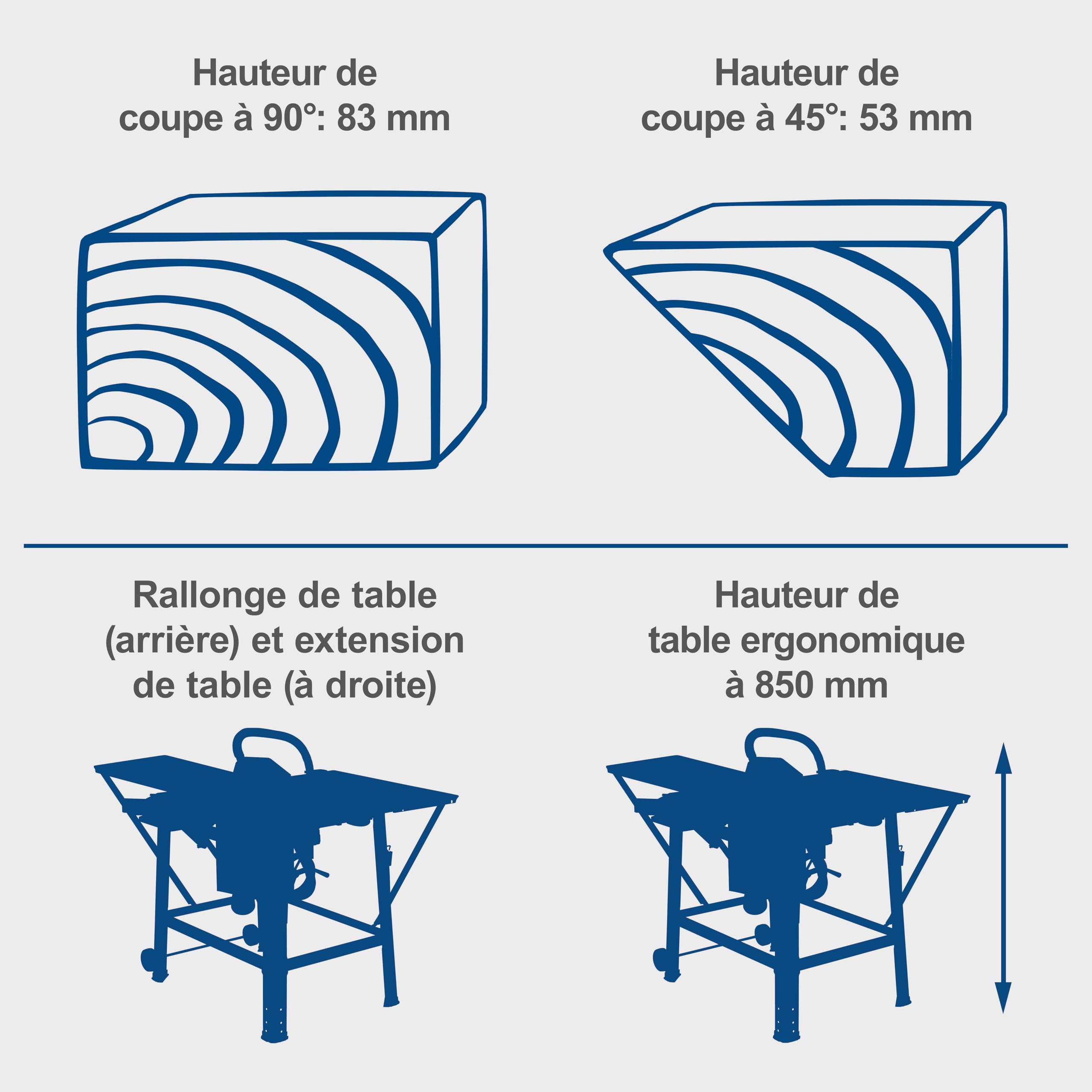 Scheppach TS Series TS310 scie sur table 400 V, lame 315 mm triphasée