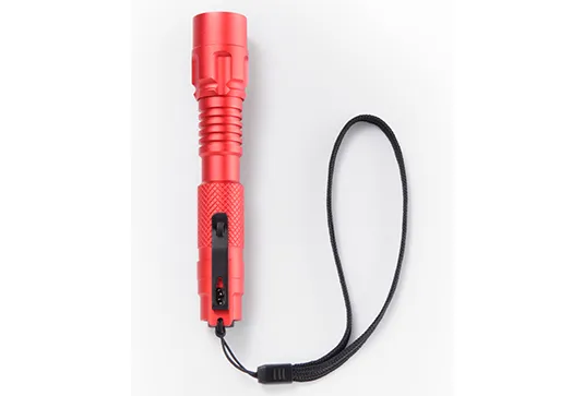 Amprobe Accessories FLASH-175 lampe torche LED 175 lumens