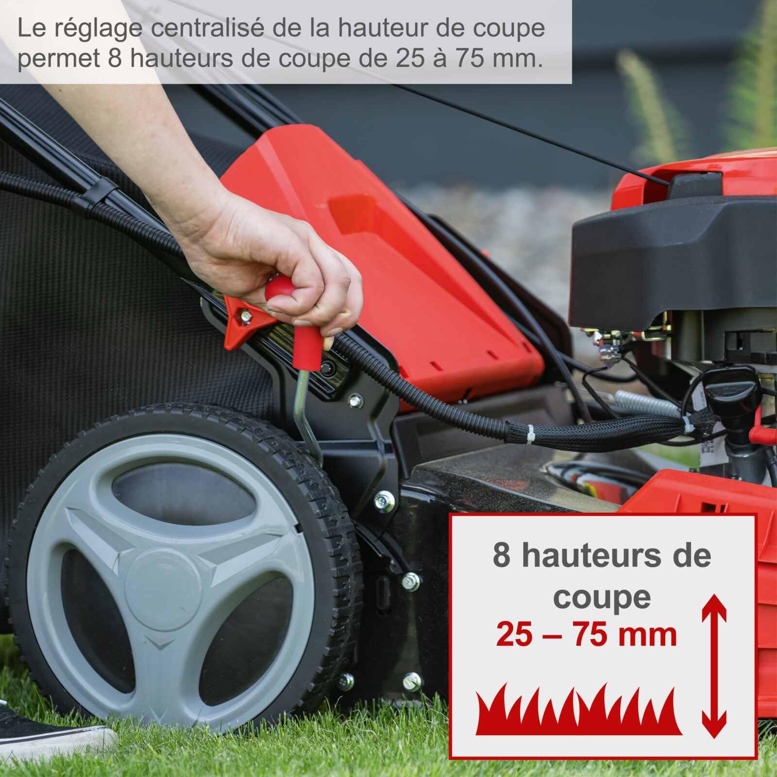 Scheppach KG Series MS150-46E tondeuse thermique 46 cm sans huile