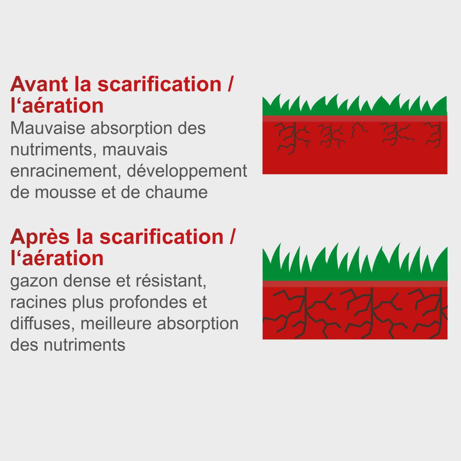 Scheppach KG Series SC38 scarificateur électrique 1600 W 38 cm 2-en-1
