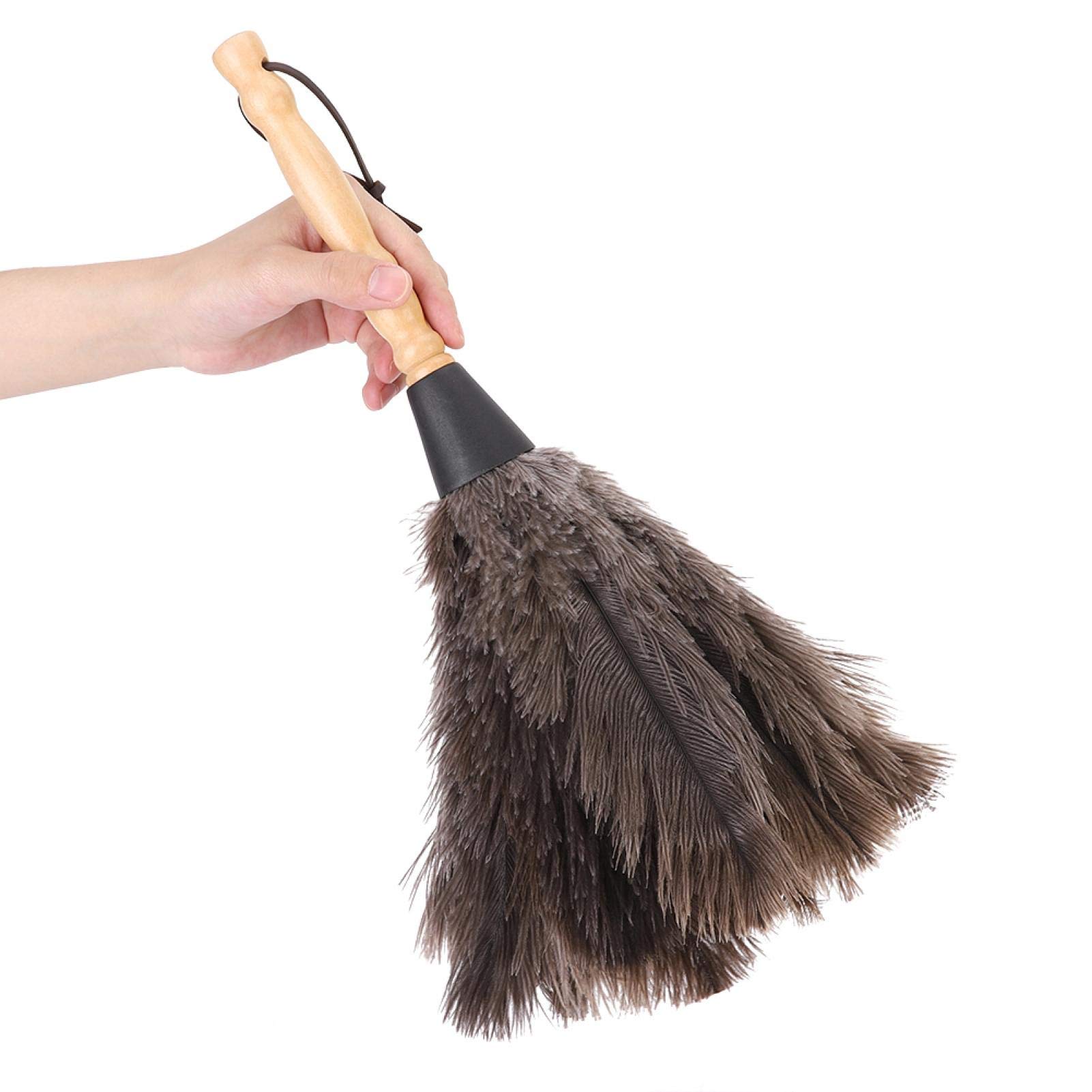 Omabeta Cleaning & Laundry Appliances plumeau en plumes d’autruche réutilisable