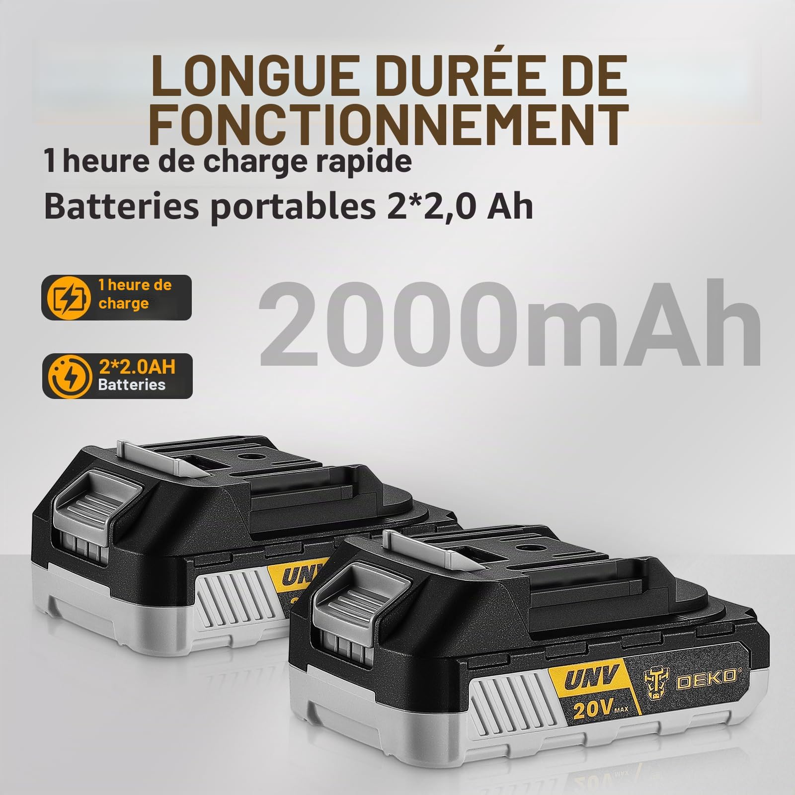 DEKOPRO POWER TOOLS scie sabre sans fil 20 V, 2 batteries 2 Ah, vitesse variable
