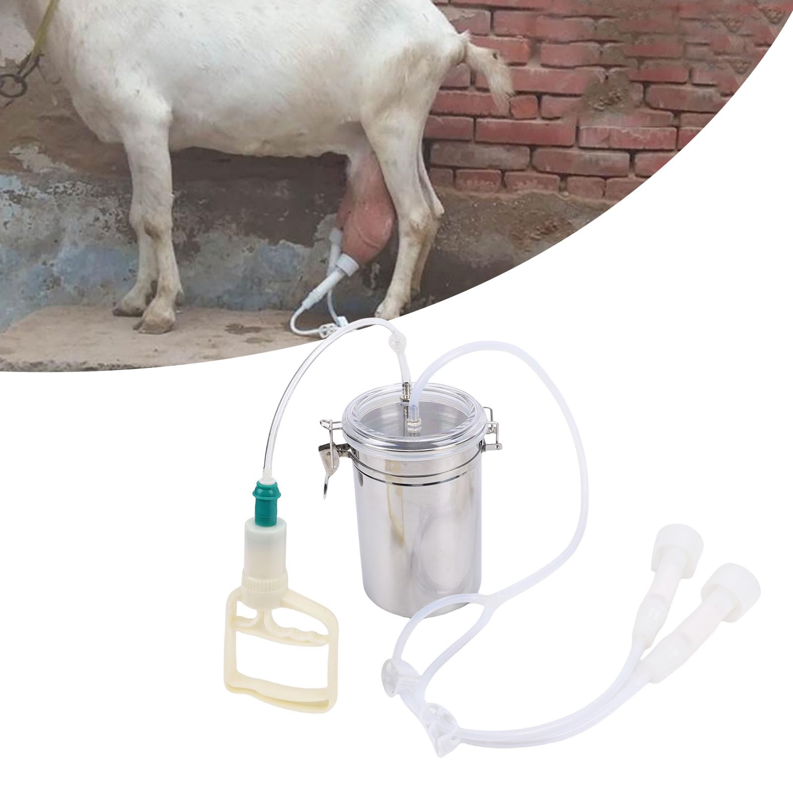Omabeta Garden Machinery & Agricultural Equipment machine à traire manuelle 2000 ml, bouteille inox