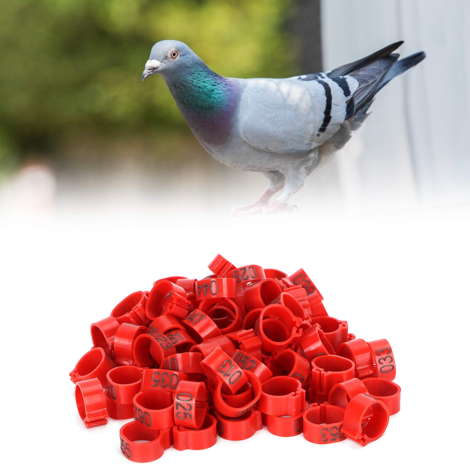 Omabeta Pet Supplies Bague d’identification pour pigeons 001–100, rouge 12 mm, 100 pièces