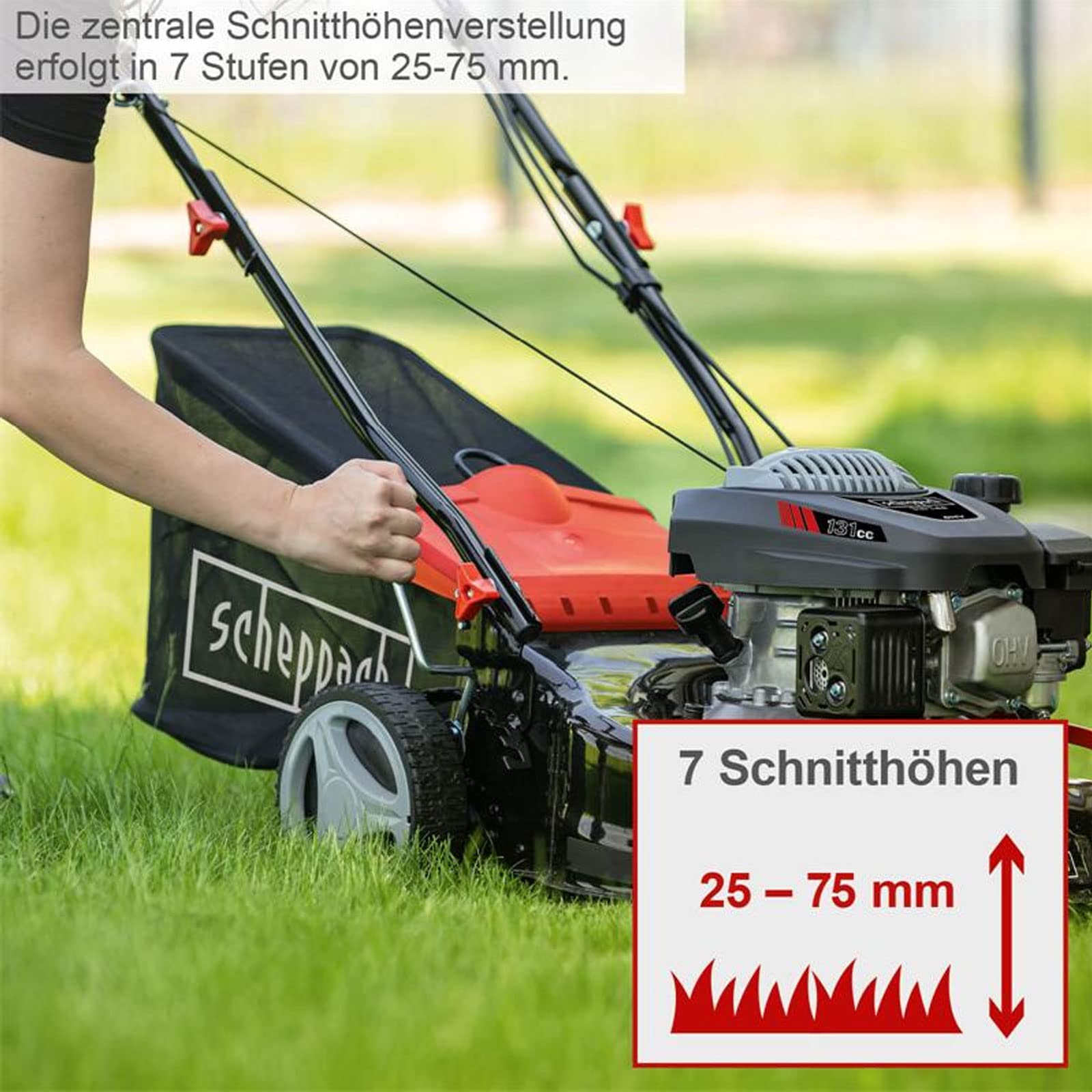 Scheppach KG Series MS132-42 tondeuse thermique 42 cm, bac 45 L, 7 niveaux