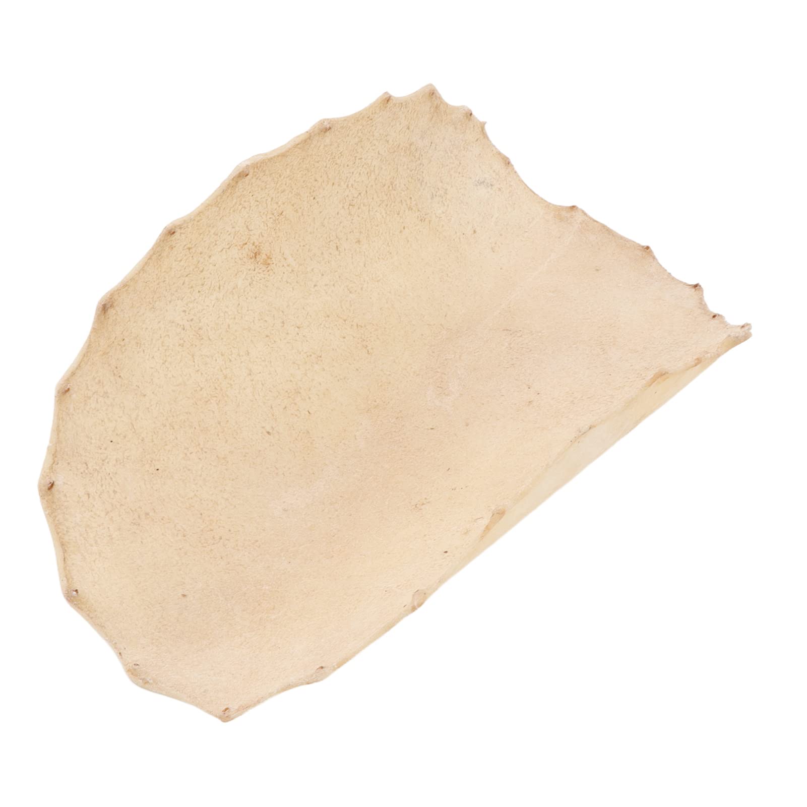 Omabeta Toys & Games peau de chèvre pour djembé 320 mm naturelle