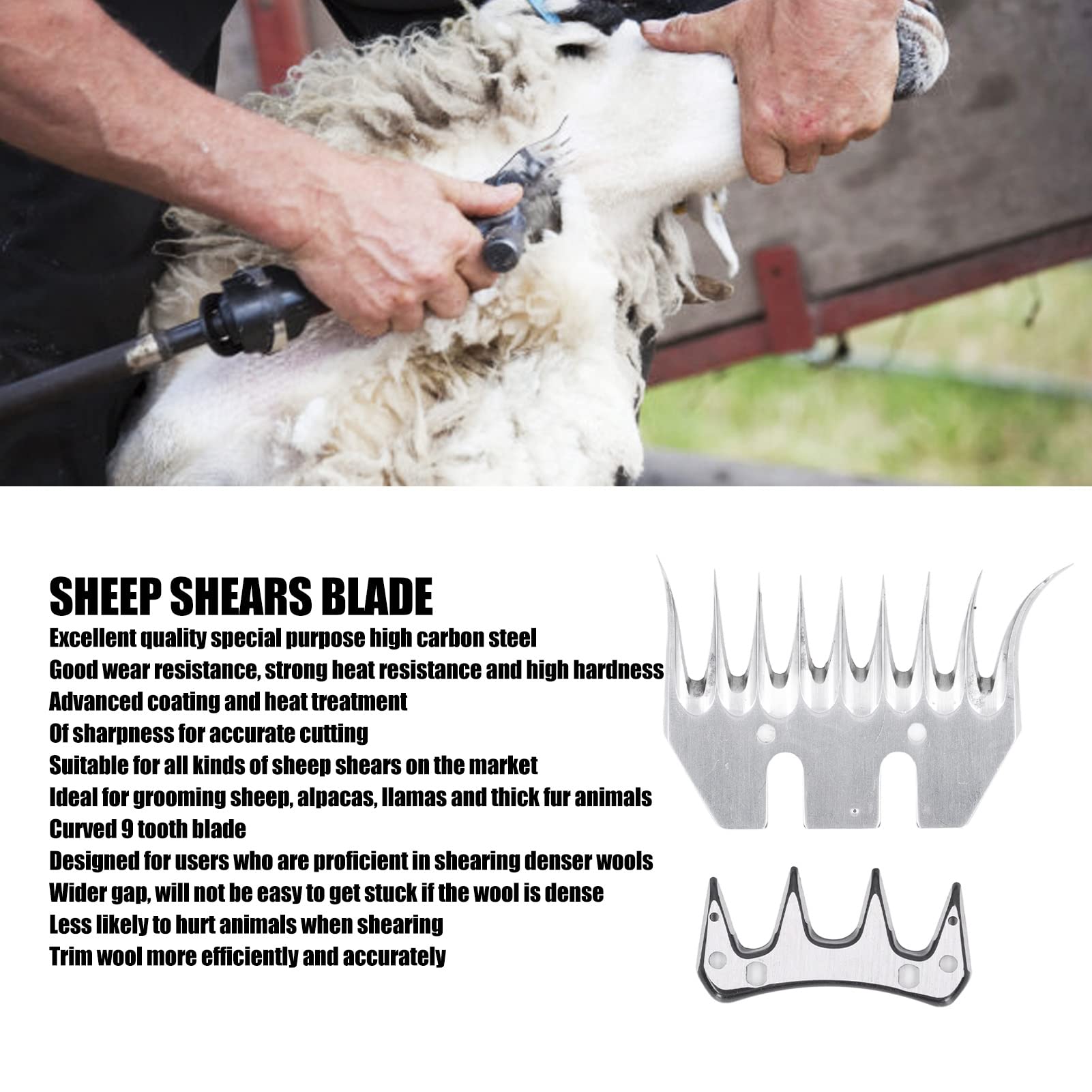 Omabeta Garden Machinery & Agricultural Equipment lame cisaille mouton 9 dents incurvée