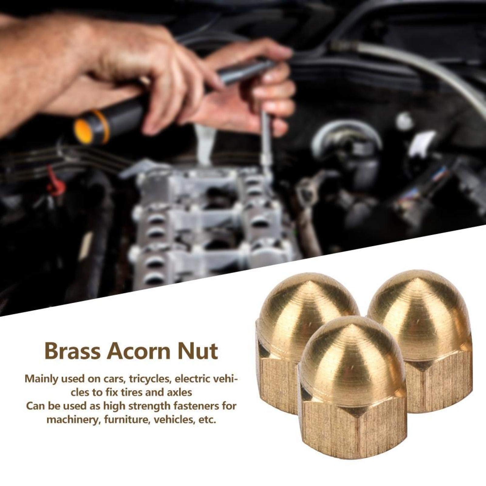 Omabeta Fasteners, Screws & Springs Écrou borgne M5 en laiton 20 pièces