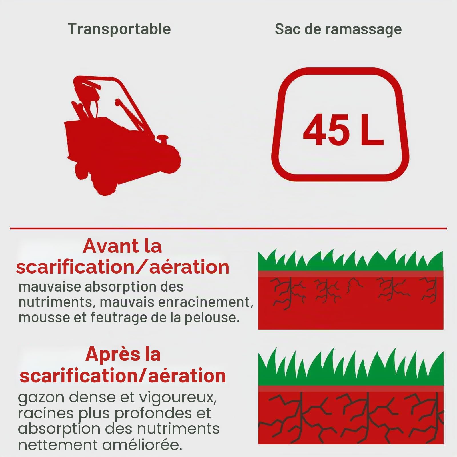 Scheppach KG Series SC50VARIO scarificateur thermique 40 cm bac 45 L