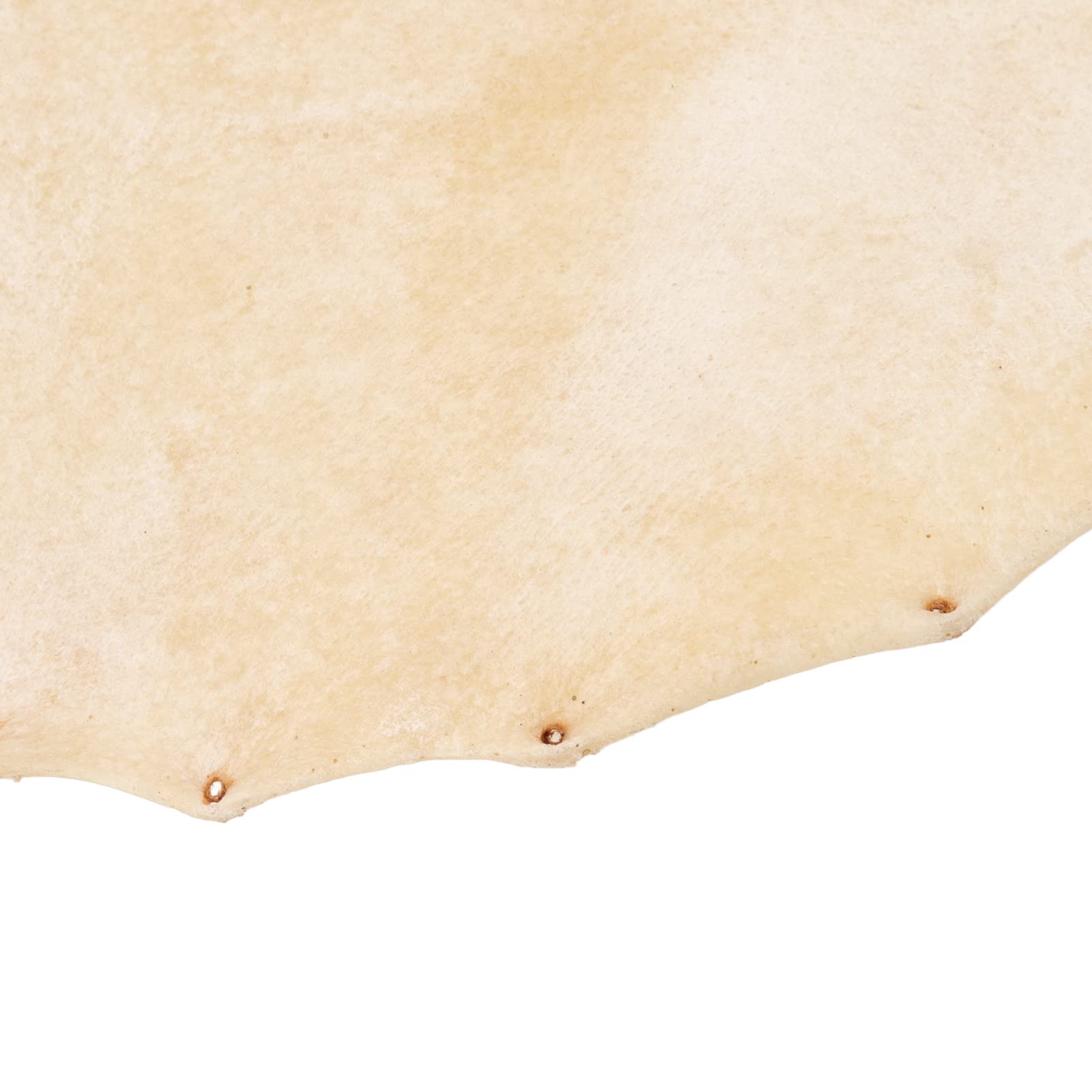 Omabeta Toys & Games peau de chèvre pour djembé 320 mm naturelle