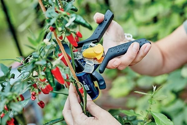 Rapid’os 16 Jardin GP238 pince à tuteurer pour agrafes VR38