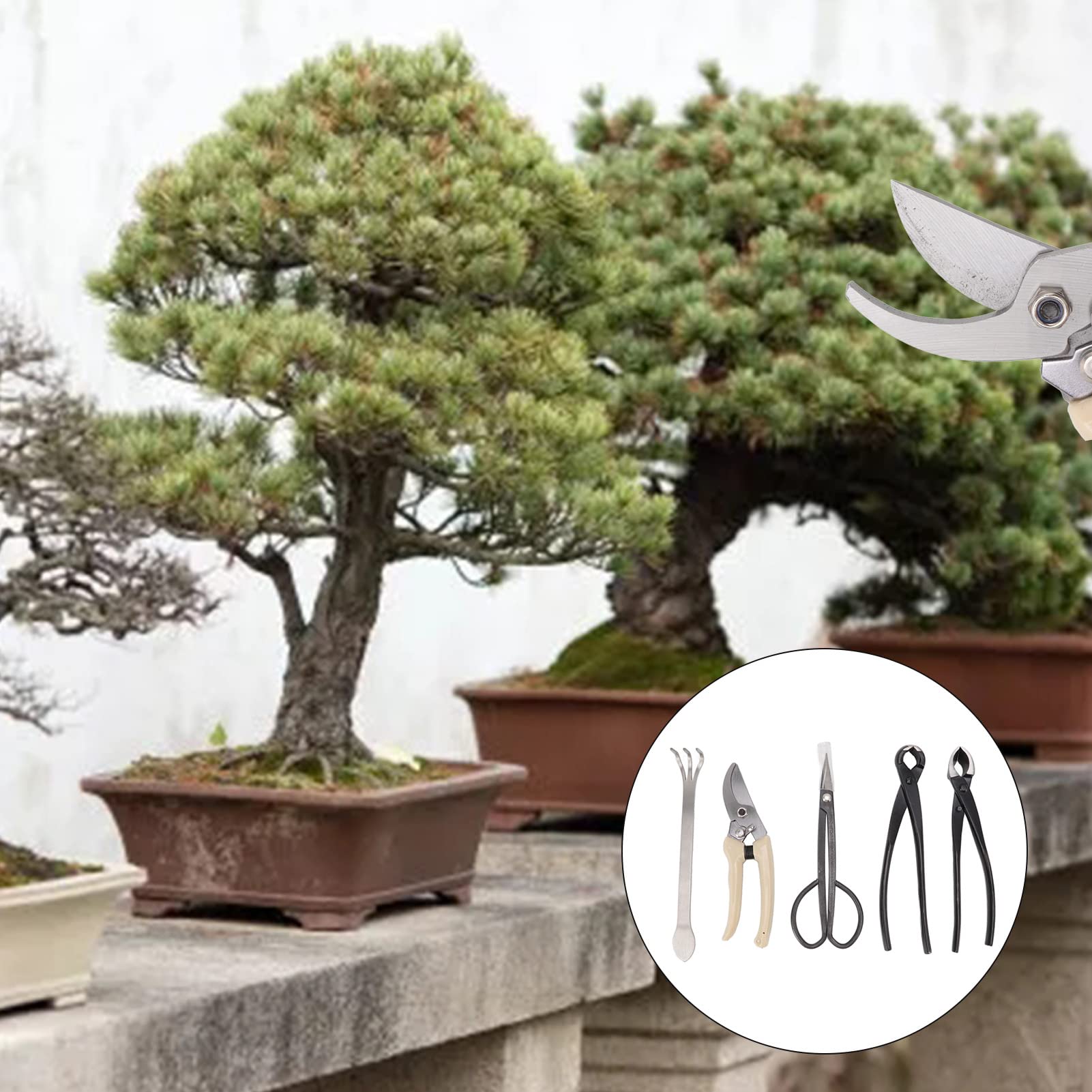 Omabeta Kit d'outils de Jardin 5 pcs sécateurs bonsaï acier
