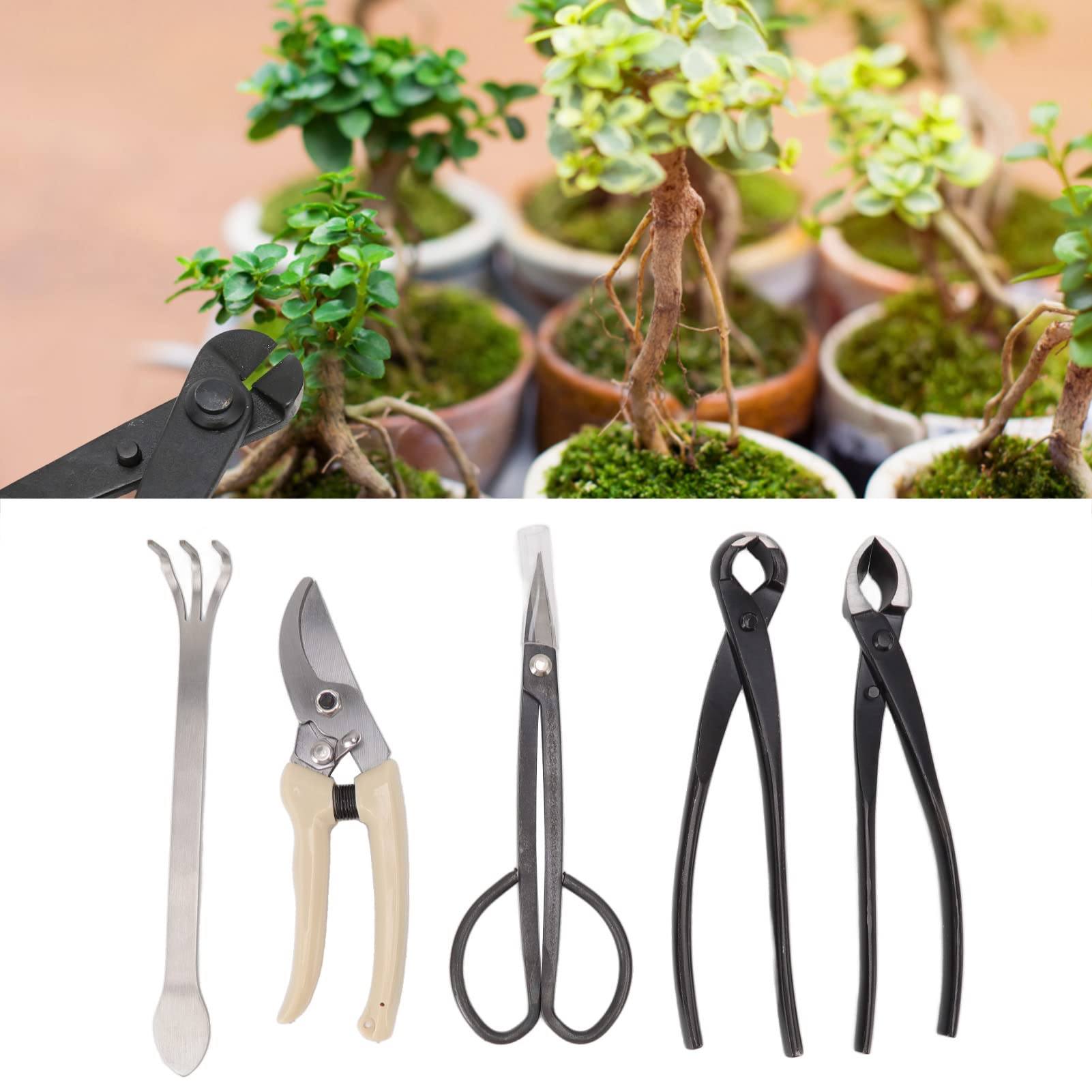 Omabeta Kit d'outils de Jardin 5 pcs sécateurs bonsaï acier