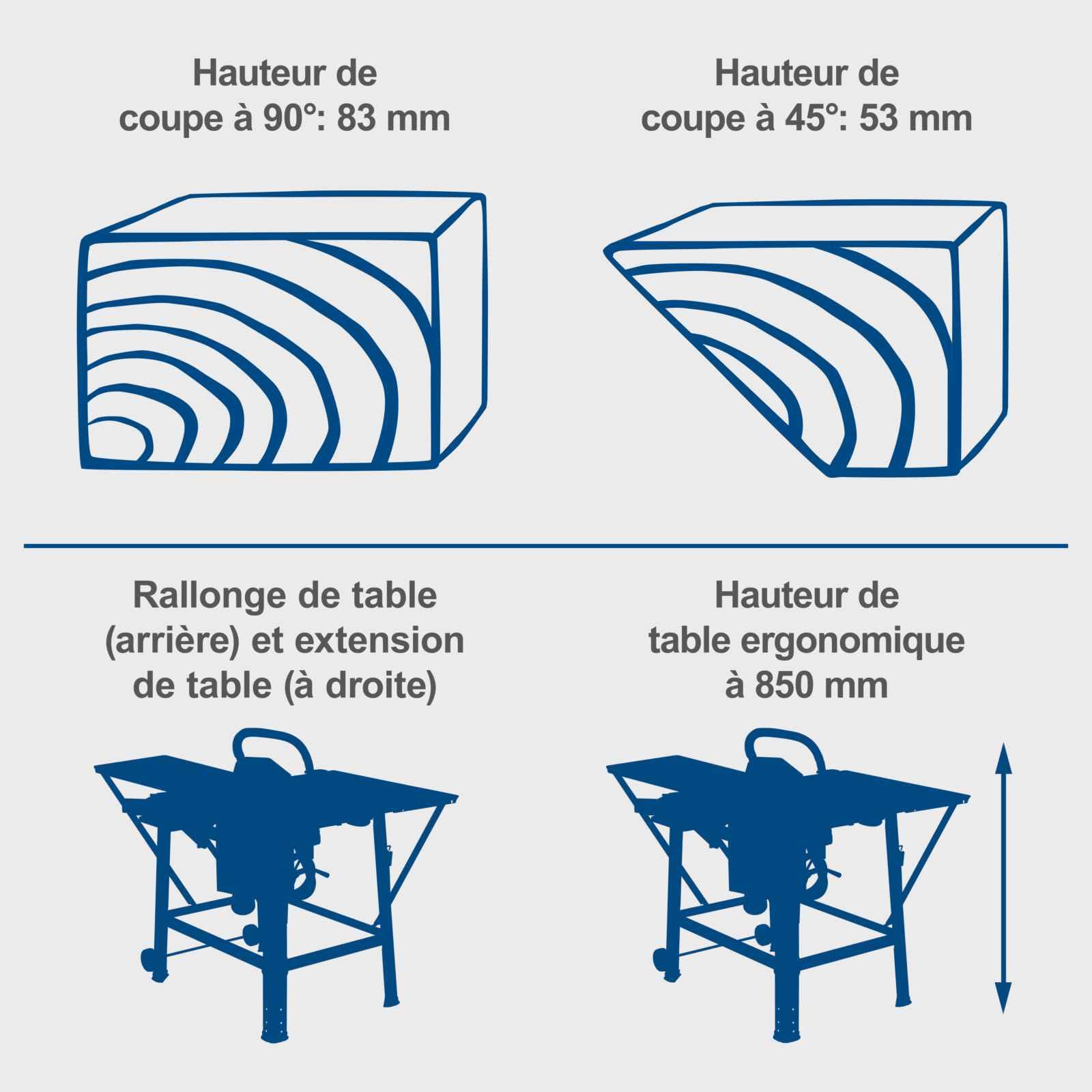 Scheppach TS Series TS310 scie sur table 230 V 2200 W lame 315 mm