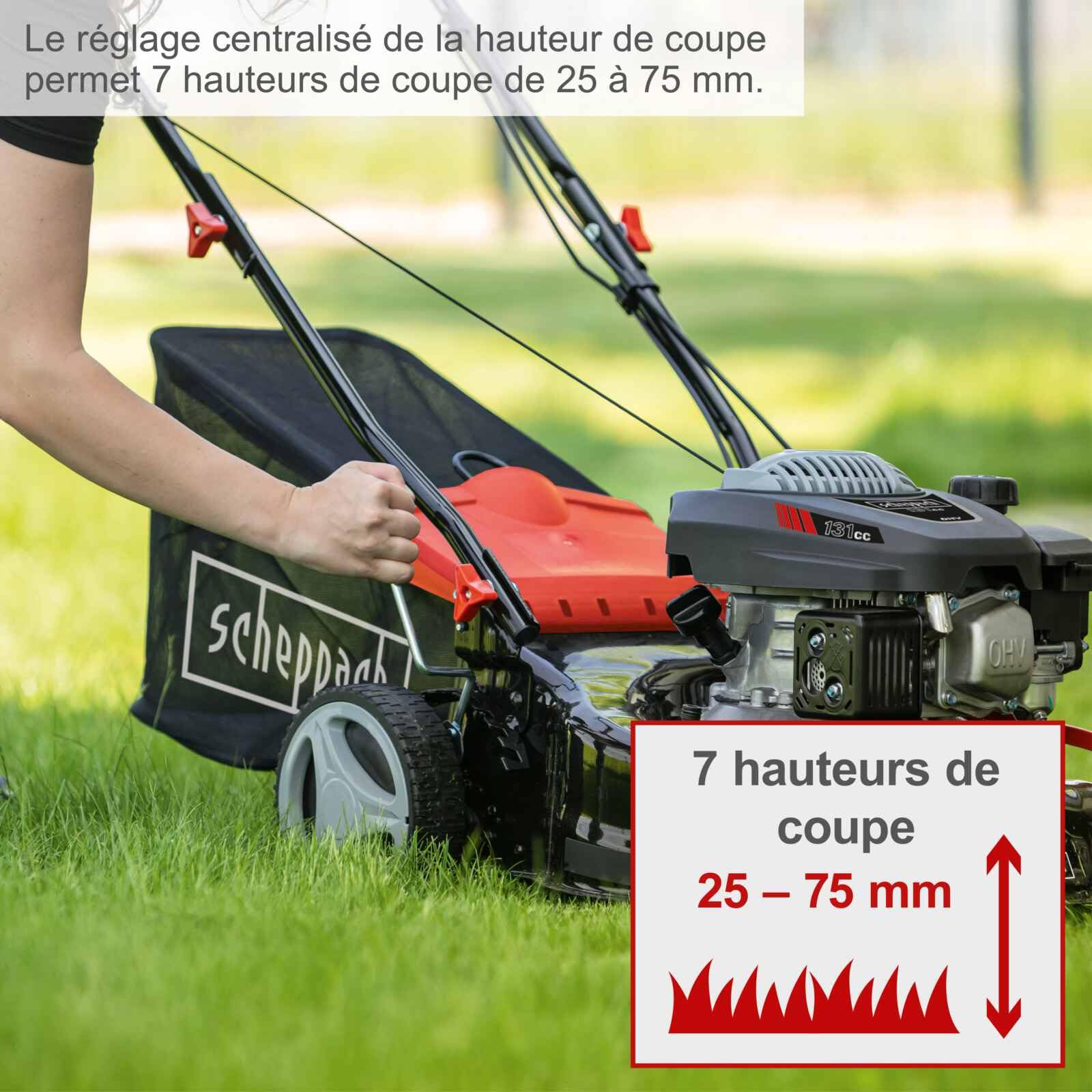 Scheppach KG Series MP132-42 tondeuse thermique 42 cm, bac 45 L