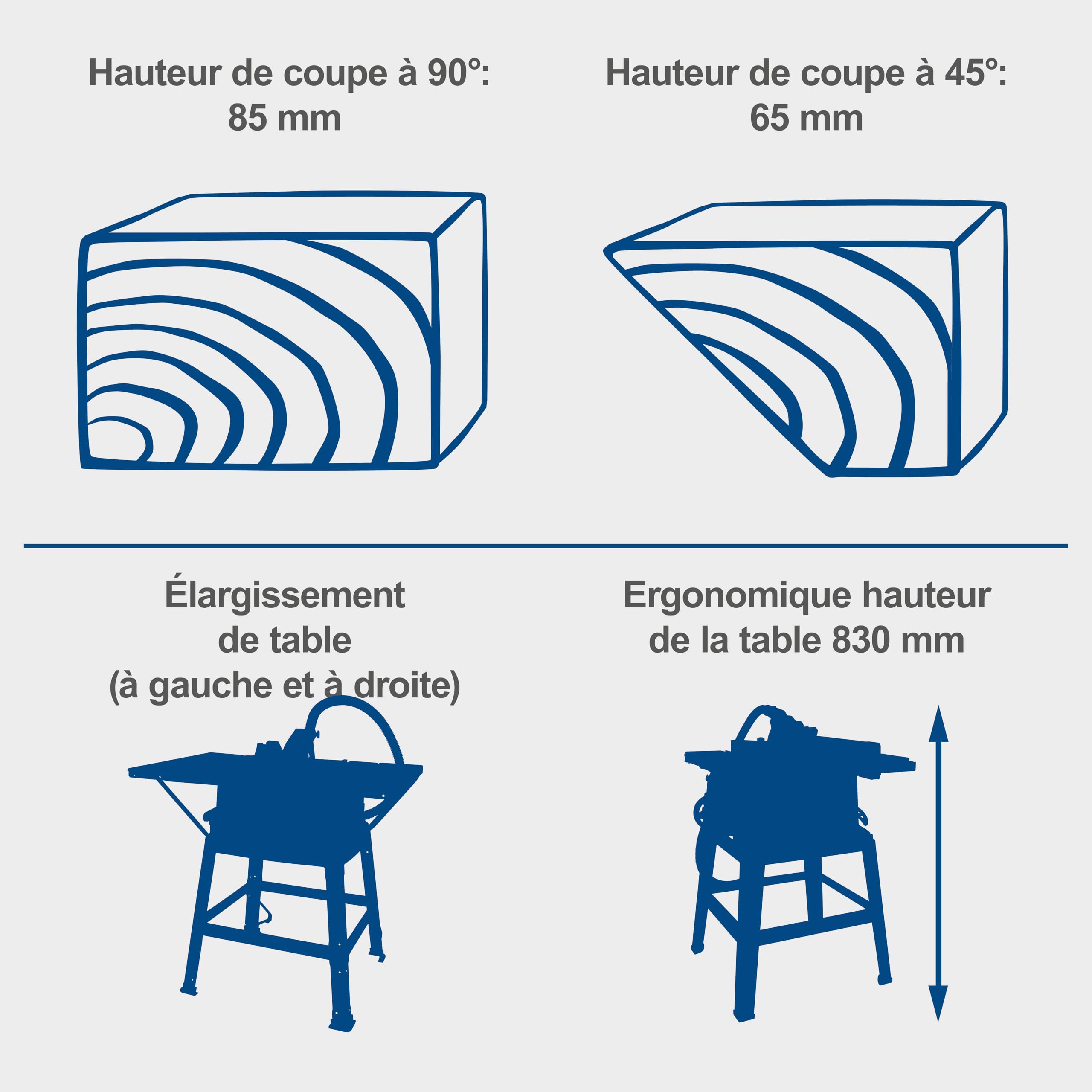 Scheppach HS Series HS100S scie sur table 2000 W lame 250 mm avec aspiration