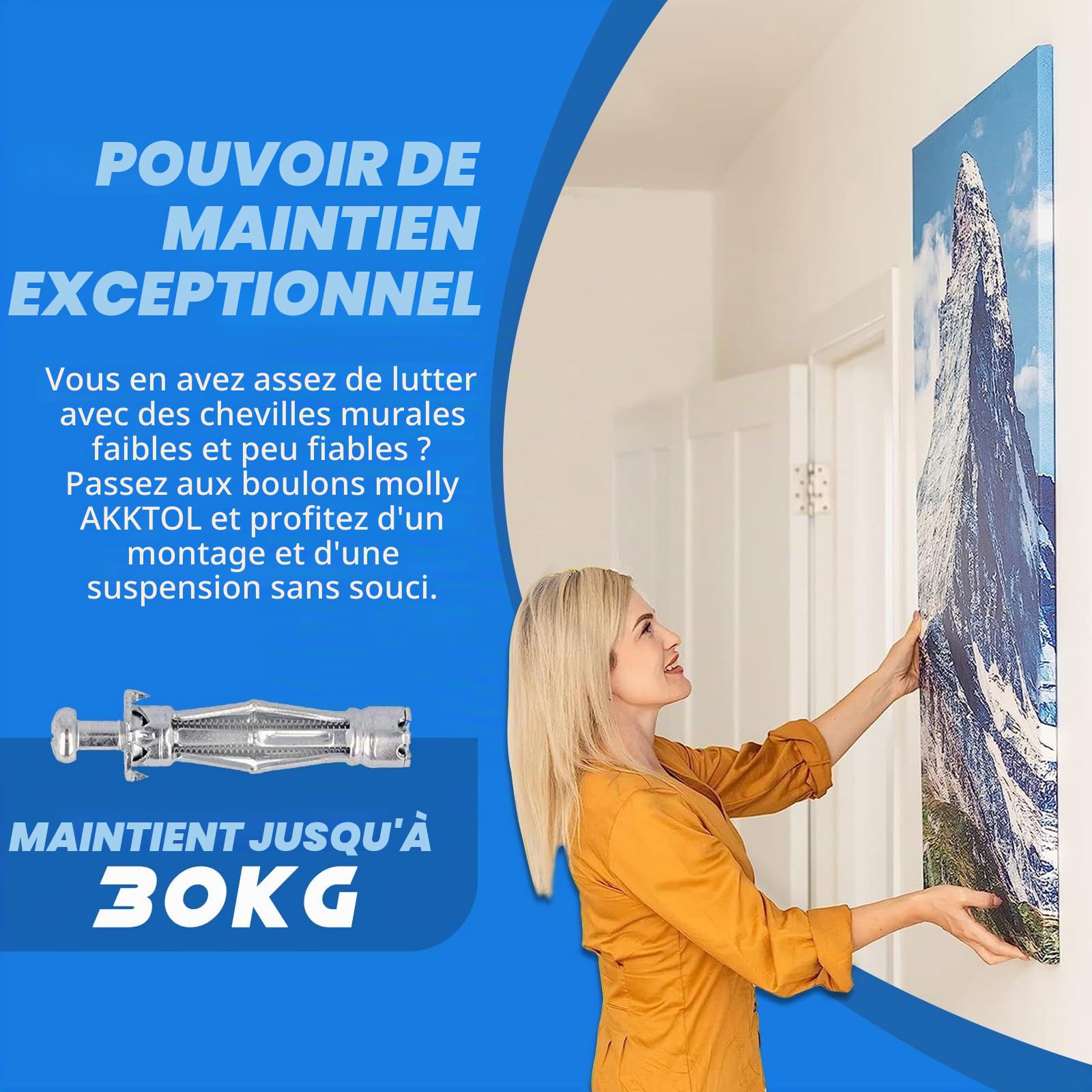 AKKTOL Hollow Wall Anchor Setting Tools pince à chevilles Molly bleue 40 pièces