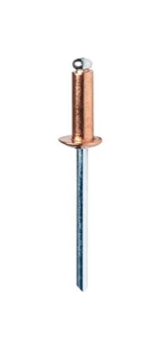 Rapid’os 16 Rivetage 5001462 rivets pop cuivrés 4 × 10 mm 50 pièces avec foret