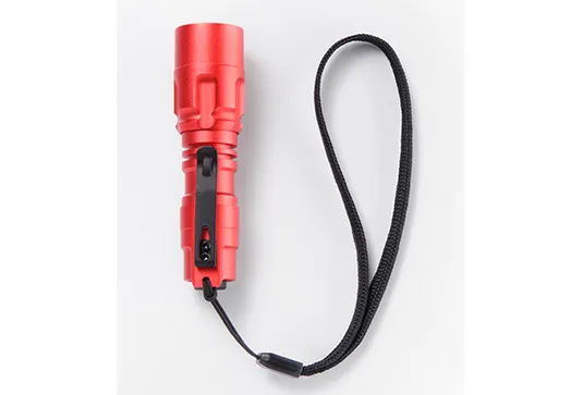 Amprobe Accessories FLASH-80 lampe torche 80 lm compacte