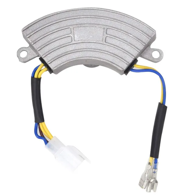 Omabeta Electrical Components & Wiring régulateur AVR 2 kW monophasé