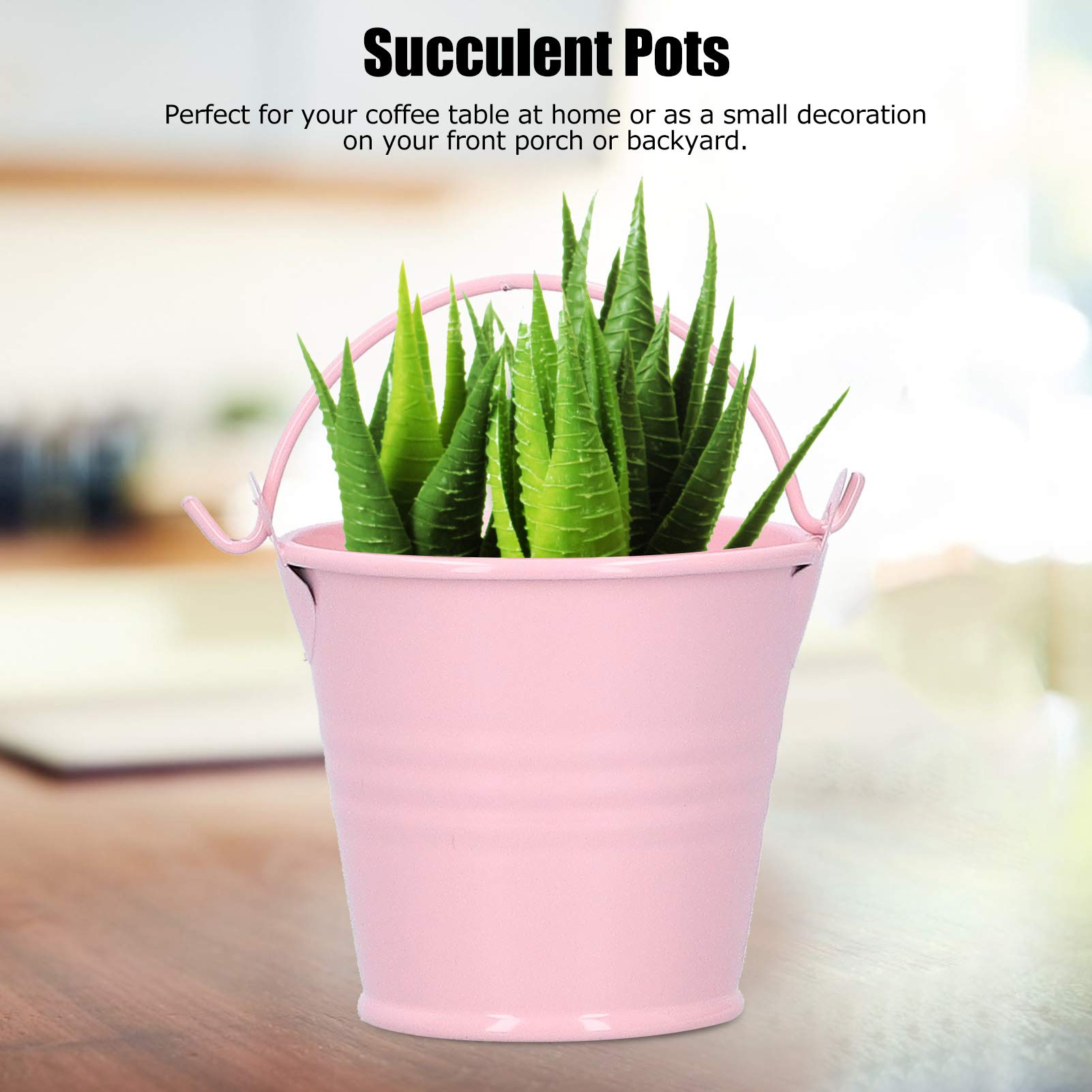Omabeta Garden Machinery & Agricultural Equipment Pots de fleurs en métal avec poignée, lot de 10, mini seaux