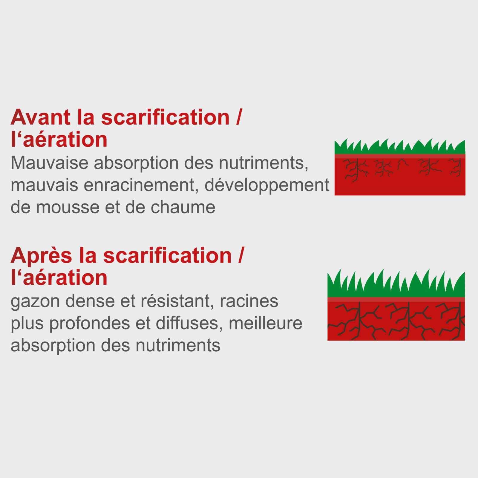 Scheppach KG Series SC32 scarificateur électrique 32 cm, bac 30 L