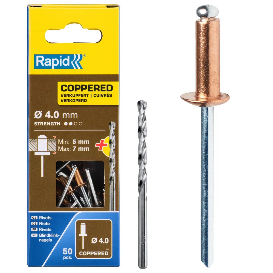 Rapid’os 16 Rivetage 5001462 rivets pop cuivrés 4 × 10 mm 50 pièces avec foret