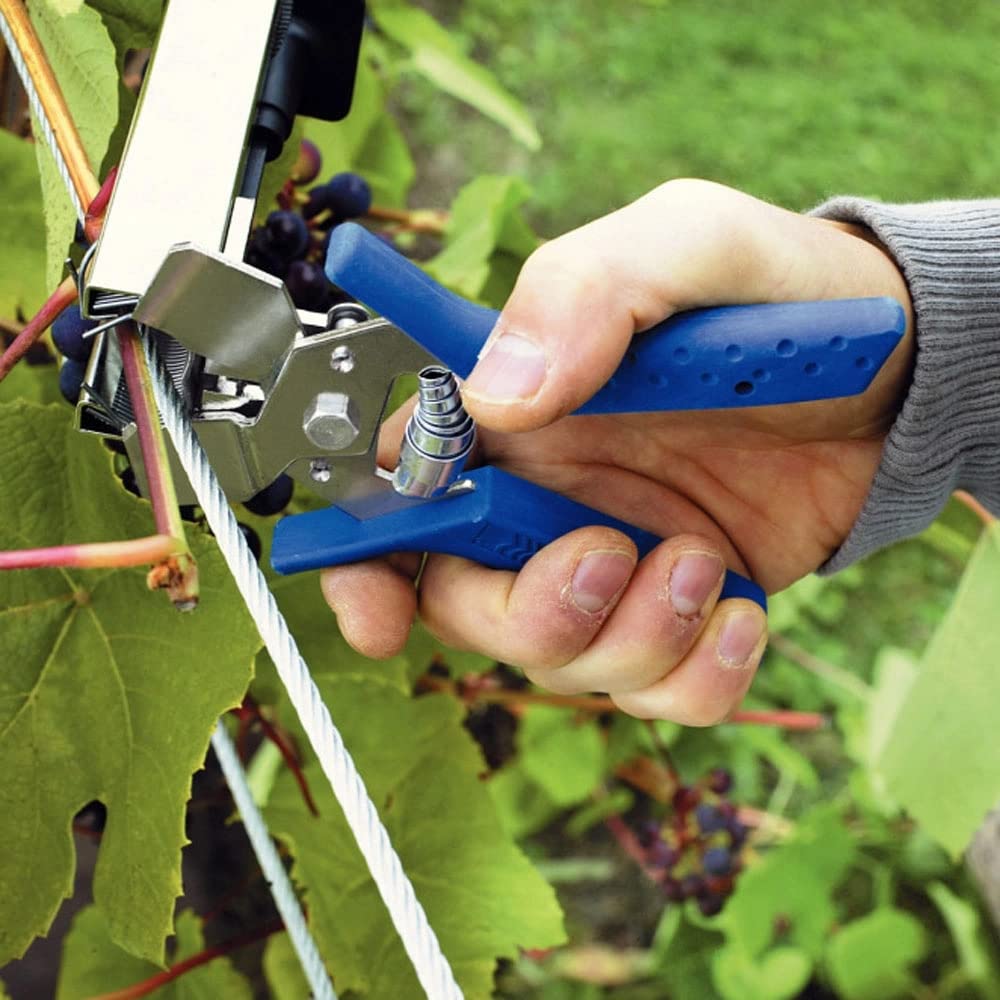 Rapid’os 16 Jardin 40107757 agrafes pour vigne C50, 4–14 mm, 4 200 pièces galvanisées