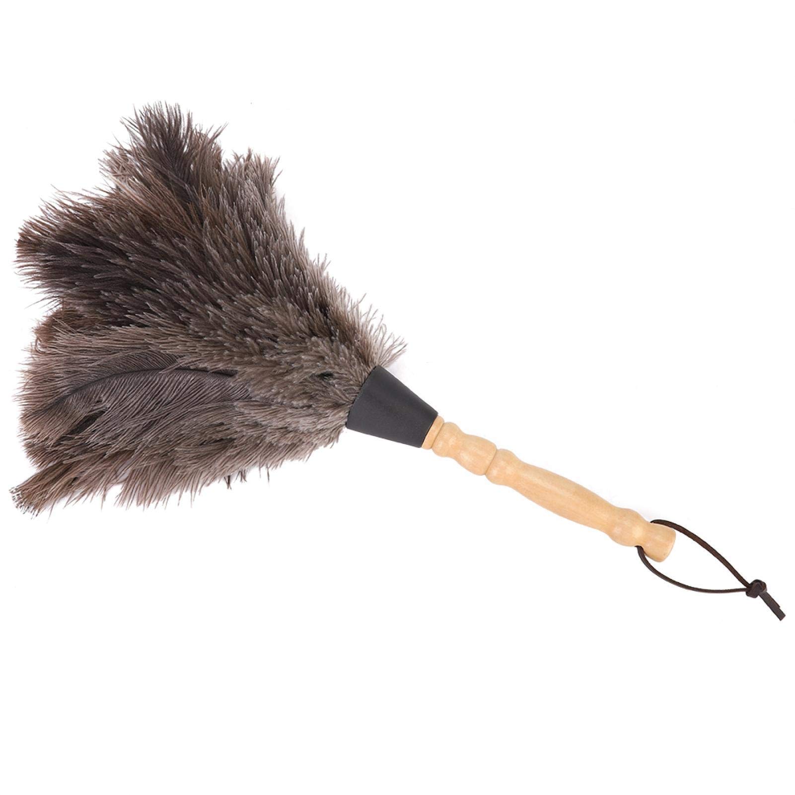 Omabeta Cleaning & Laundry Appliances plumeau en plumes d’autruche réutilisable