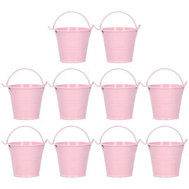Omabeta Garden Machinery & Agricultural Equipment Pots de fleurs en métal avec poignée, lot de 10, mini seaux