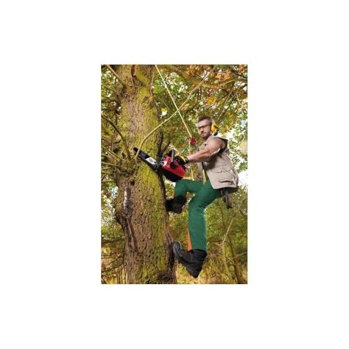 Scheppach TKG Series CSP2540 élagueuse thermique guide 25 cm 25,4 cm³