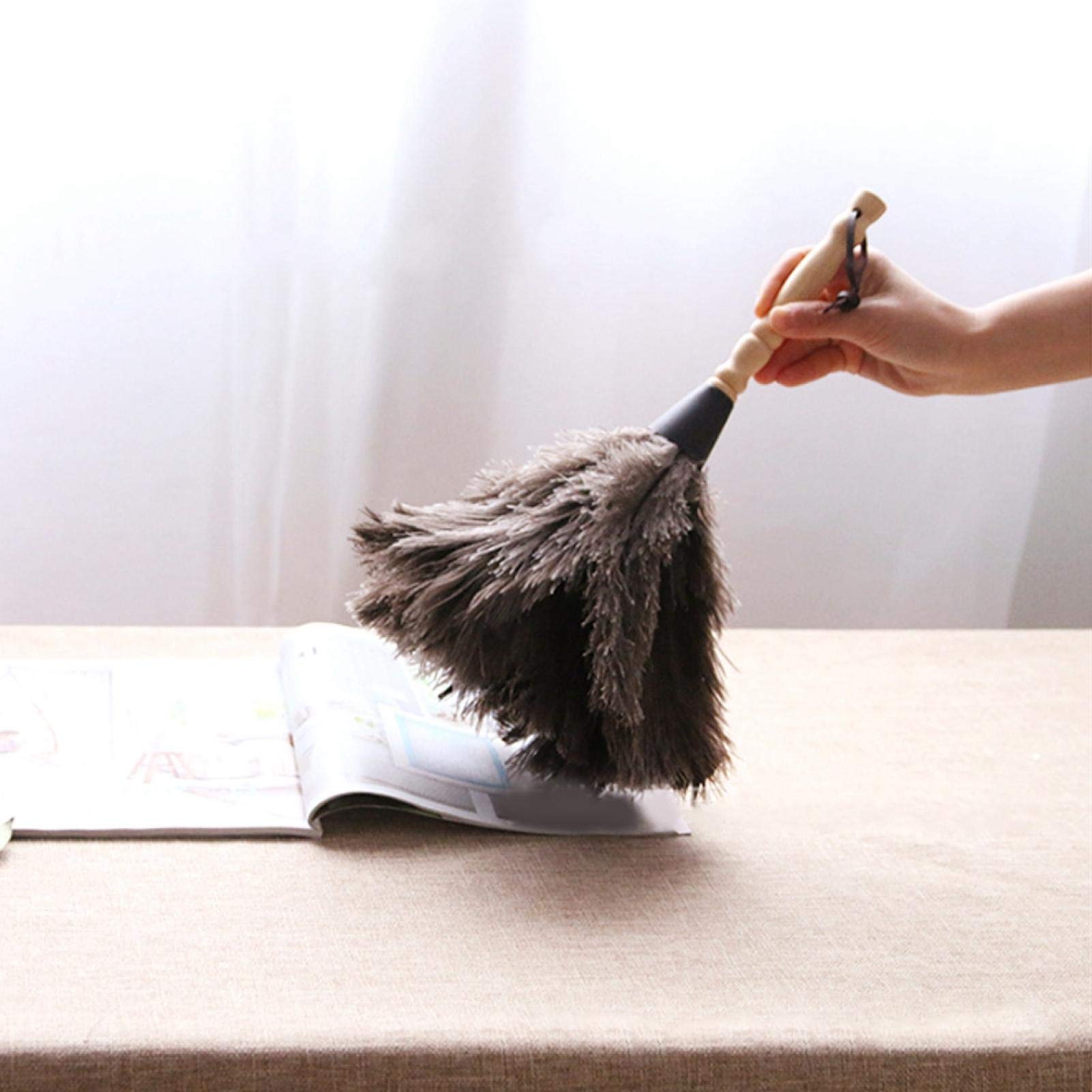 Omabeta Cleaning & Laundry Appliances plumeau en plumes d’autruche réutilisable