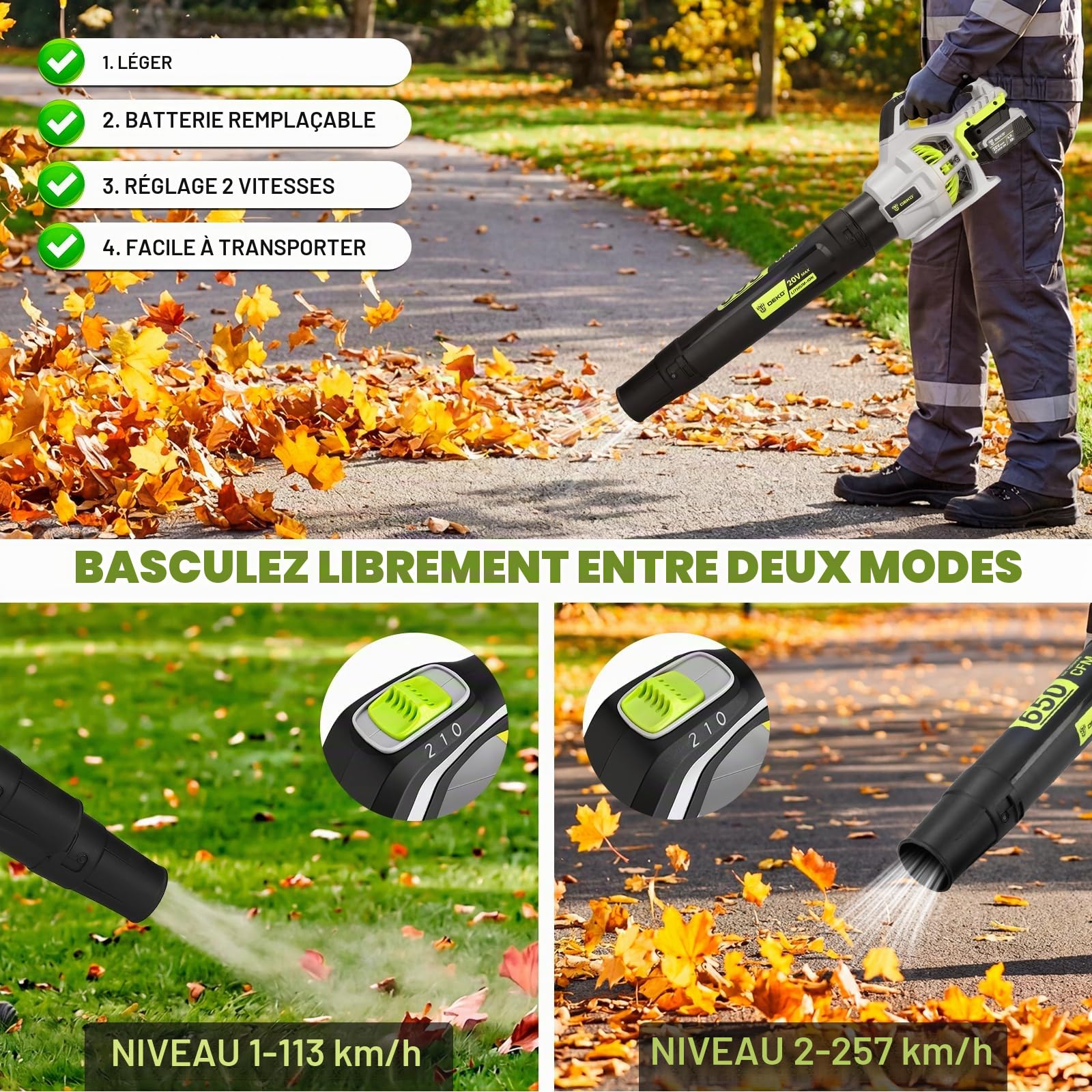 DEKOPRO GARDEN TOOLS Souffleur de feuilles sans fil avec 2 batteries 4,0 Ah