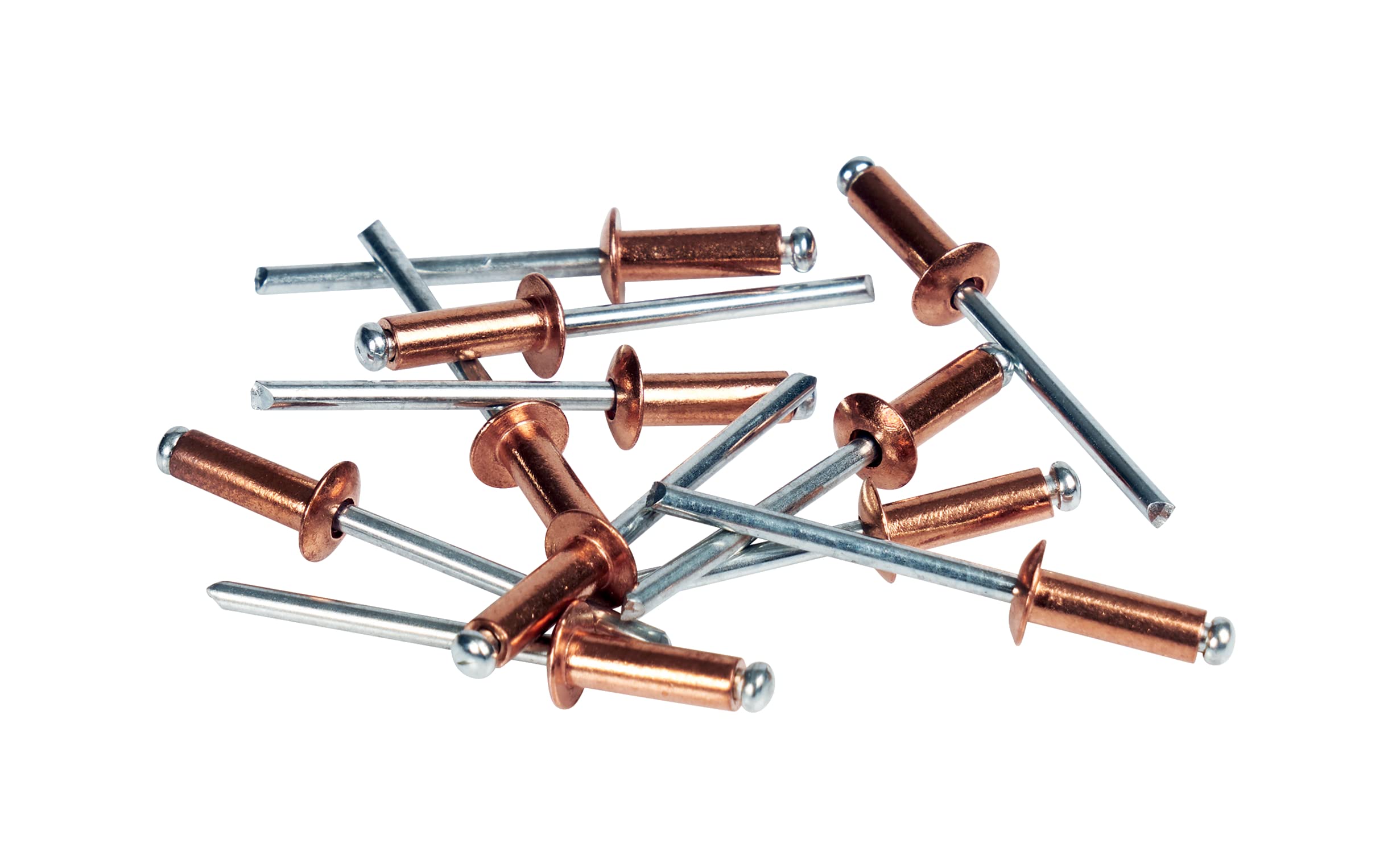 Rapid’os 16 Rivetage 5001462 rivets pop cuivrés 4 × 10 mm 50 pièces avec foret