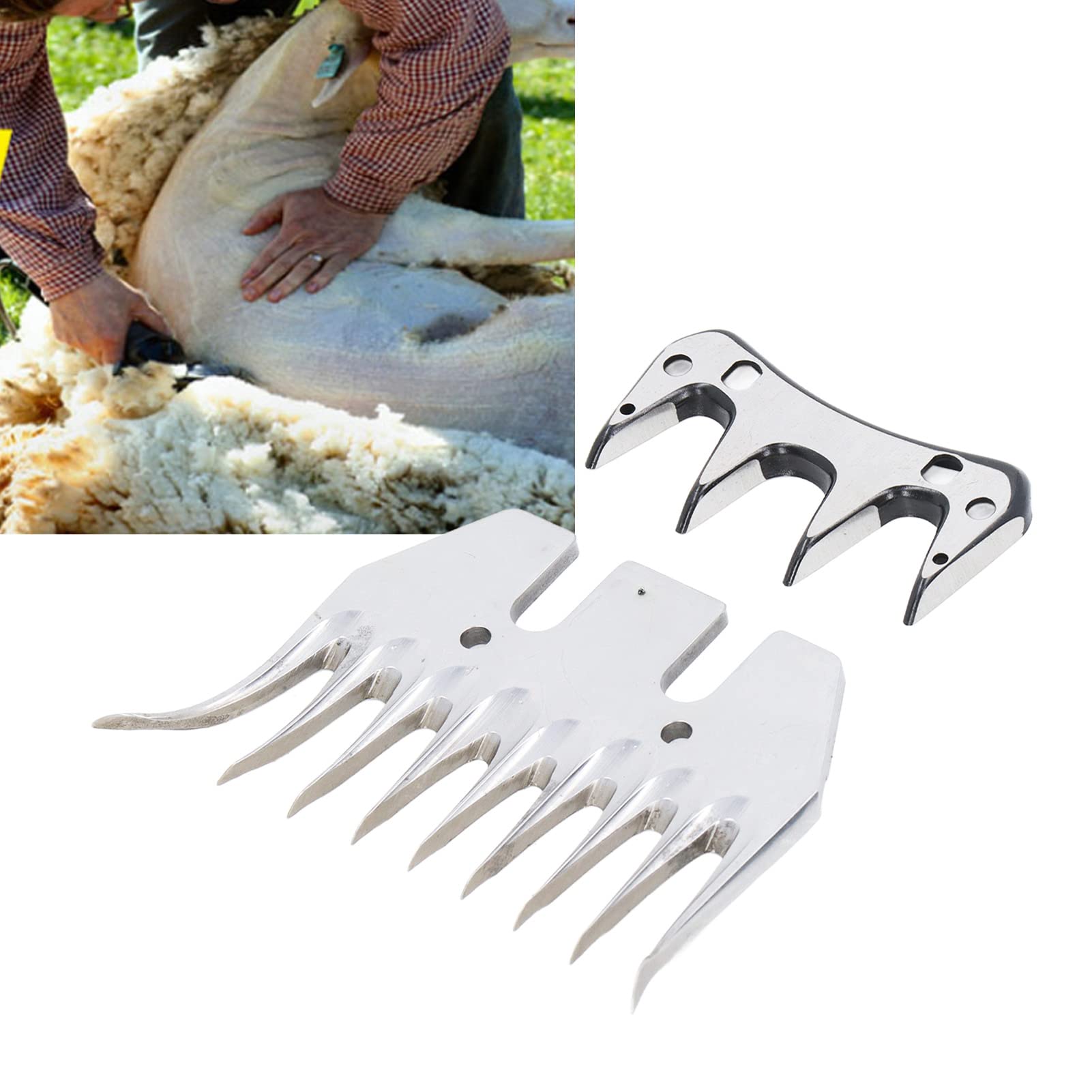 Omabeta Garden Machinery & Agricultural Equipment lame cisaille mouton 9 dents incurvée