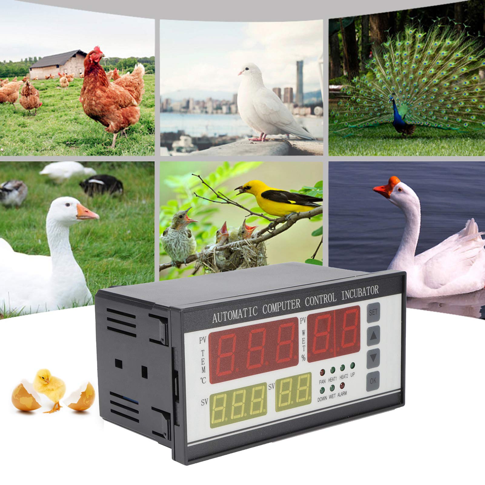 Omabeta Garden Machinery & Agricultural Equipment XM-18 thermostat d’incubateur 220 V automatique