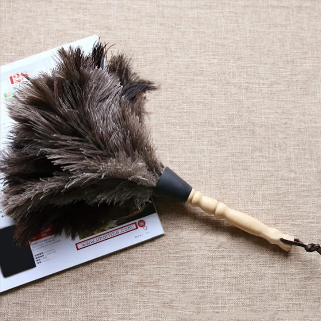 Omabeta Cleaning & Laundry Appliances plumeau en plumes d’autruche réutilisable