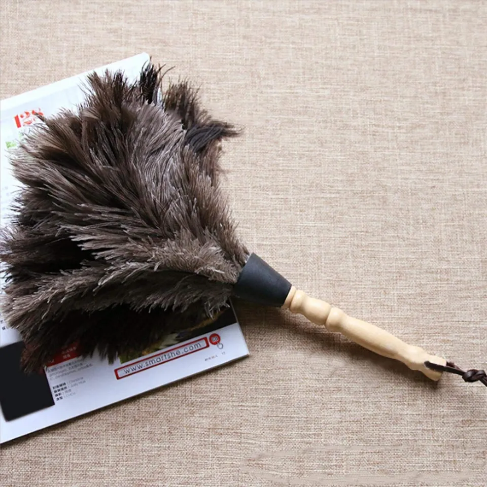 Omabeta Cleaning & Laundry Appliances plumeau en plumes d’autruche réutilisable